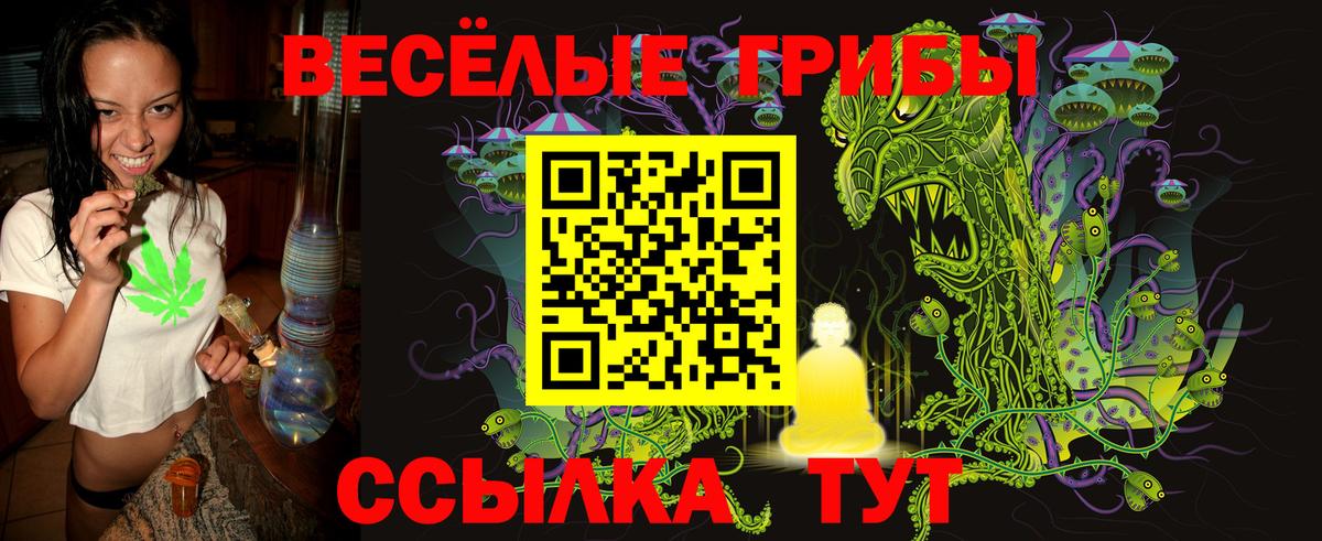 Псилоцибиновые грибы Psilocybine cubensis Чернушка